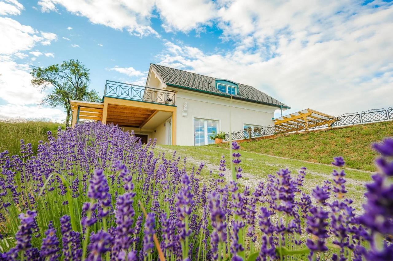 Villa Zupan With Hot Tub Skocjan 